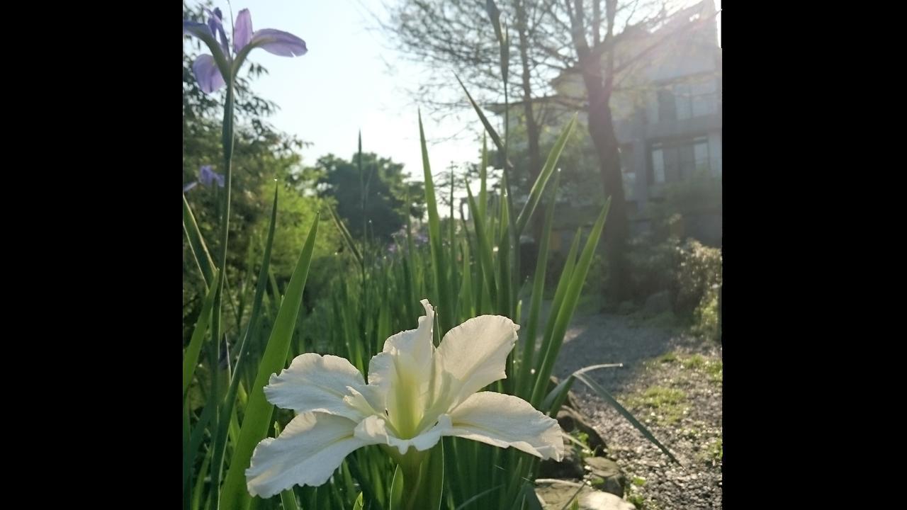 Stone House Homestay Yilan Exterior photo